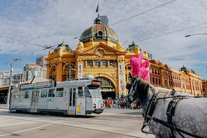 Experience Melbourne with Louise M